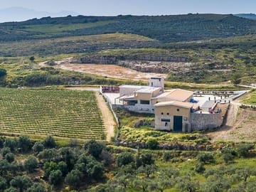 Heraklion Wine and Olive Oil Tasting Tour with Lunch