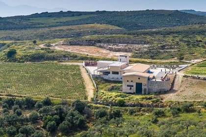 Crete Wine and Olive Oil Heritage Group Tour