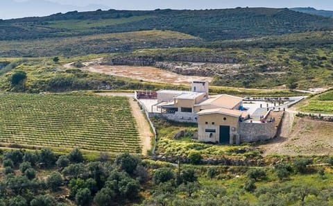 Heraklion Wine and Olive Oil Tasting Tour with Lunch