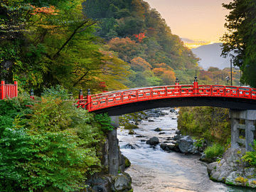 From Tokyo: Nikko Private Day Tour