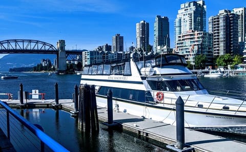 Vancouver City Highlights Tour in 3.5 Hours