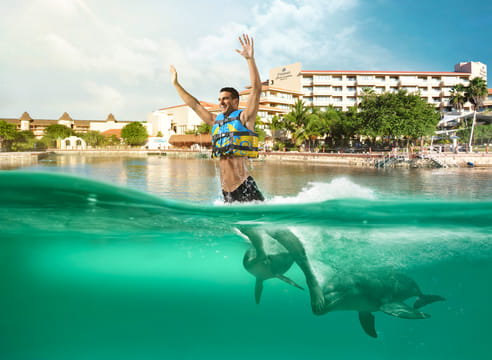 Dreams Puerto Aventuras: Dolphin Royal Swim 
