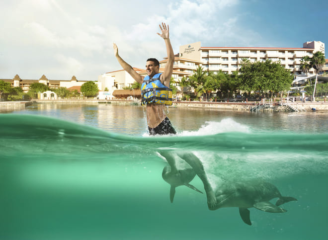 Dreams Puerto Aventuras: Dolphin Royal Swim 