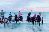 Caicos Islands Beach Horseback Riding Small-Group Tour 1