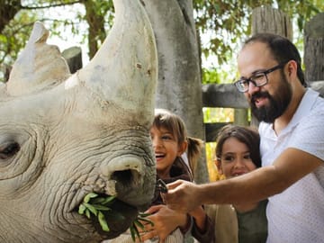 Wildlife Safari Tour from Puebla to Africam Safari