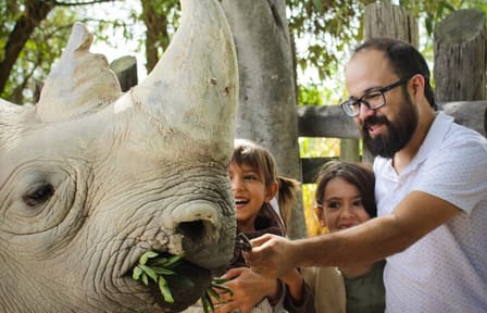 Africam Safari Tour from Puebla