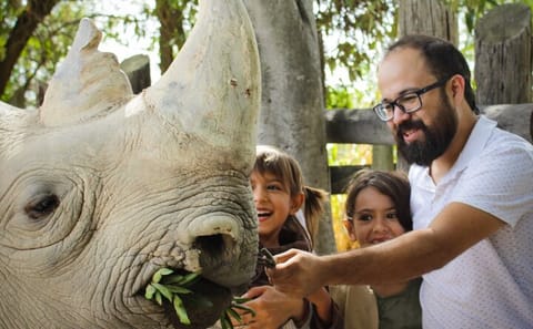 Wildlife Safari Tour from Puebla to Africam Safari