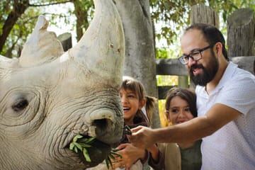 Wildlife Safari Tour from Puebla to Africam Safari