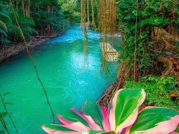 Private Bamboo Rafting Tour on Martha Brae River from Montego Bay