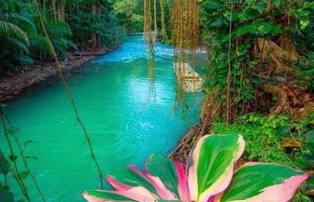 Martha Brea Bamboo Private Rafting tour from Montego Bay