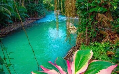 Private Bamboo Rafting Tour on Martha Brae River from Montego Bay