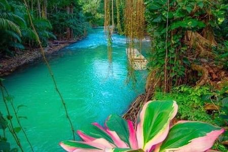 Martha Brea Bamboo Private Rafting tour from Montego Bay