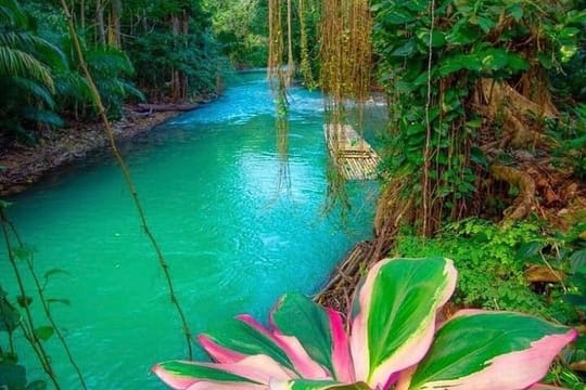 Martha Brea Bamboo Private Rafting tour from Montego Bay