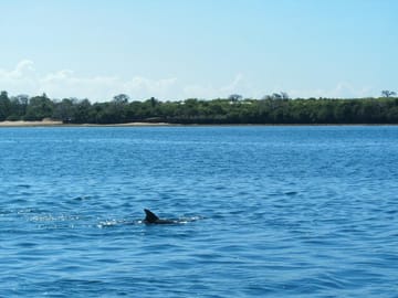 4-Day All-Inclusive Adventure at Diani Beach, Mombasa