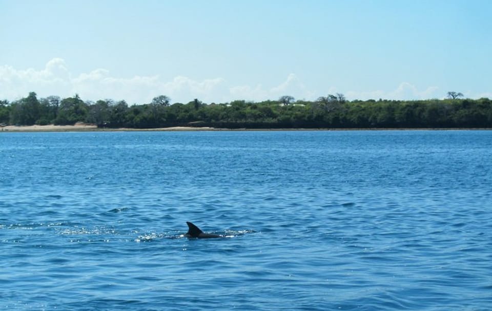 4-Day All-Inclusive Adventure at Diani Beach, Mombasa