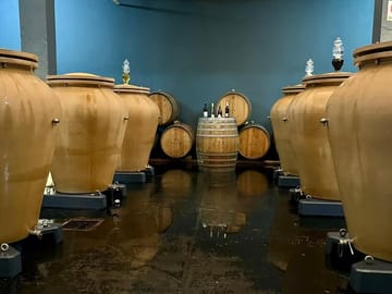 Boutique Winery and Wine Tasting Tour from Fez to Meknes