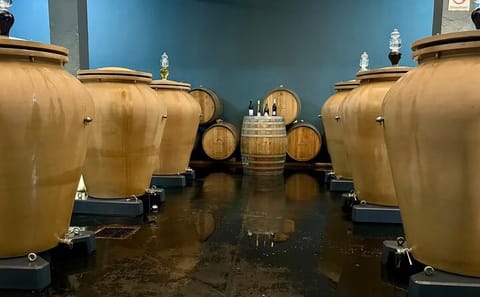 Boutique Winery and Wine Tasting Tour from Fez to Meknes
