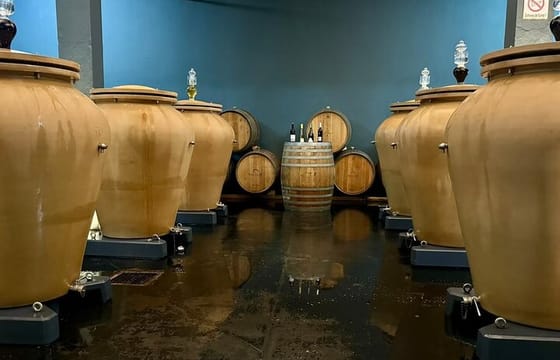 Full Day Boutique Winery and Wine Tasting Tour from Fez to Meknes