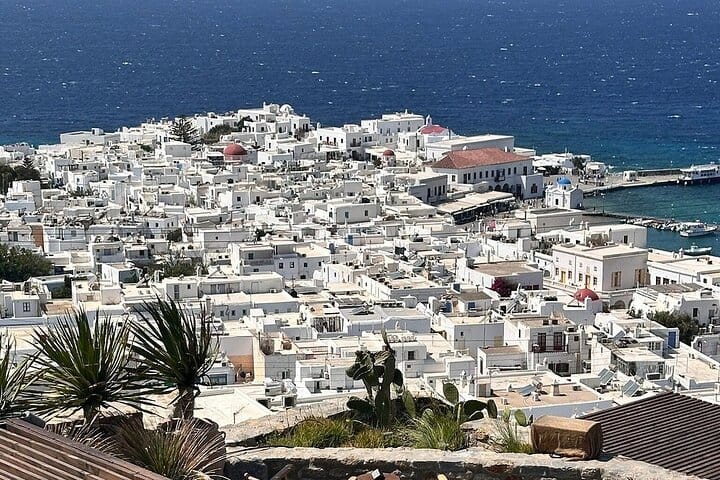 Mykonos Island Tour for Cruise Passengers 5