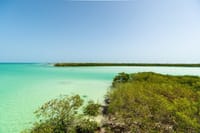 Holbox Island Tour with Pasion Island and Punta Mosquito 8