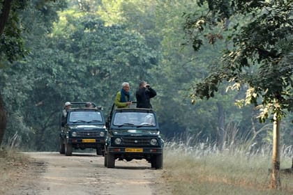 Safari in Pench National Park