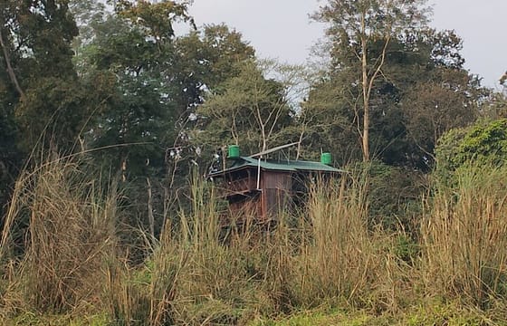Full Day Jeep Safari in Chitwan National Park