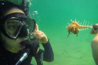 Scuba Diving Tour 1