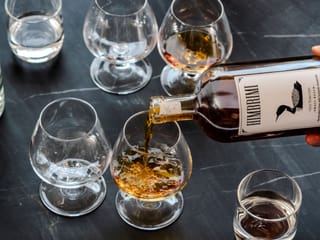 Private Himbrimi Gin Tasting in Reykjavik — An Icelandic Spirits Experience, photo 7