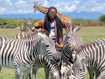 Immersive wildlife experience with zebras and giraffes in their natural sanctuary.