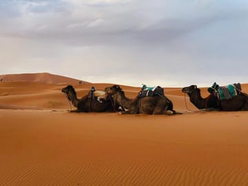 Two-Day Camel Ride and Camp Tour from Fes to Merzouga