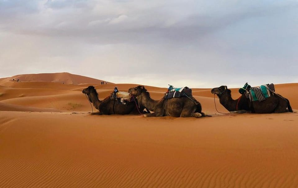 Fes to Merzouga Desert Trip – 2 Days, Camel Ride & Camp