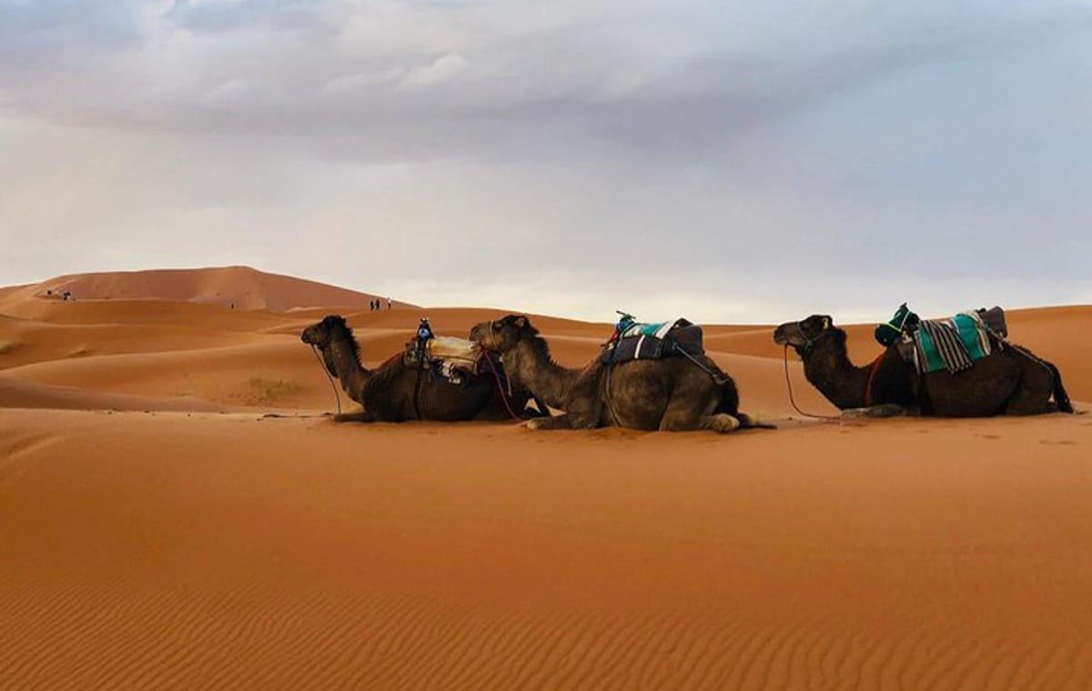 Fes to Merzouga Desert Trip – 2 Days, Camel Ride & Camp