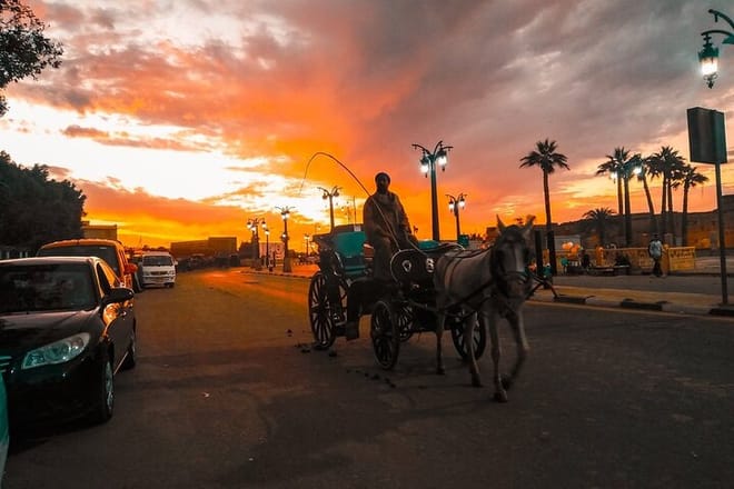 City Tour By Horse Carriage One Hour in Luxor - Luxor