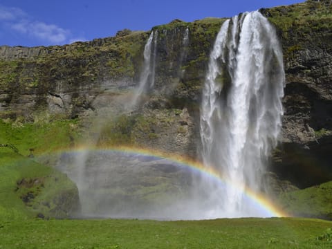 Deutschsprachige Tagestour Südisland - ab Reykjavík, Hveragerði & Selfoss, photo 2