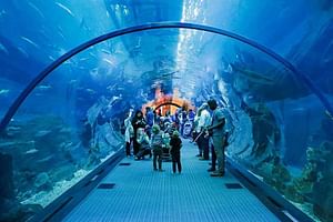 The Hurghada Grand Aquarium 