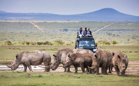 5-Day Safari Adventure in Aberdares and Samburu, Kenya