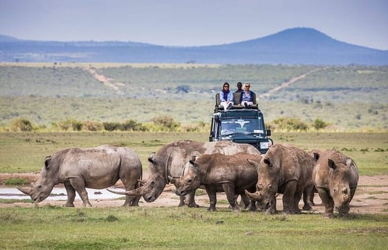 5 Day Aberdares Ol Pejeta and Samburu Safari on 4×4 Jeep