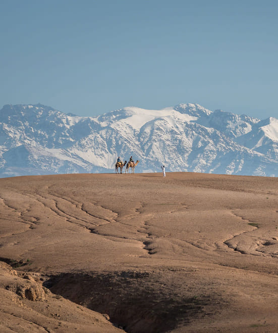 ½ Day : Ali BaBa's Camel Ride in Agafay Desert | Private & Luxury 9