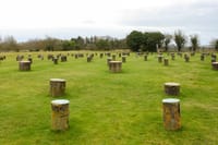London to Windsor Castle Stonehenge and City of Bath Private Trip 6