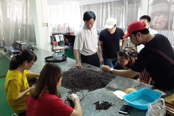 Coffee Immersion Tour in Hanoi, Vietnam: From Farm to Cup