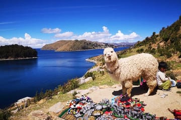 Full-Day Tour from La Paz to Copacabana and Isla del Sol