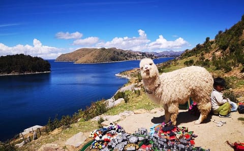 Full-Day Tour from La Paz to Copacabana and Isla del Sol
