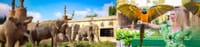 Emirates Park Zoo Abu Dhabi Tickets 7