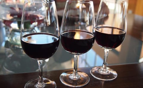 Private Wine Tasting Tour in Luján de Cuyo, Mendoza