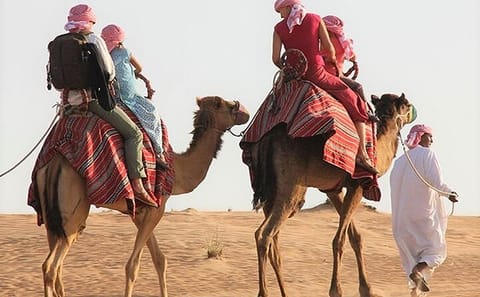 Dune Bashing and Camel Riding Adventure in Mesaieed, Qatar