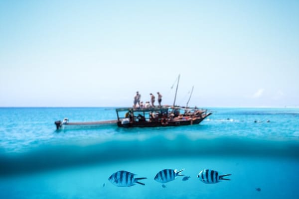 Mnemba Island Full Day Dhow Snorkeling Trip with Drinks and Lunch