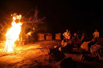 Ceylon Eco & Safari Tour