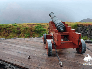 Vestmannaeyjar Day Tour, photo 9