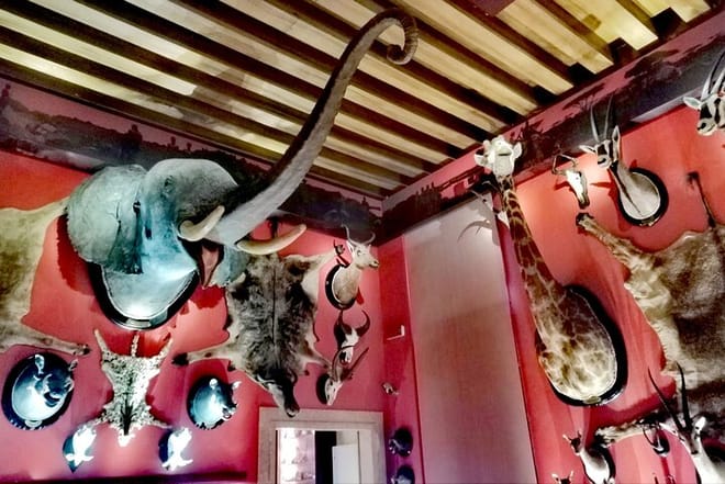 Venice Natural History Museum: Private Tour photo 2