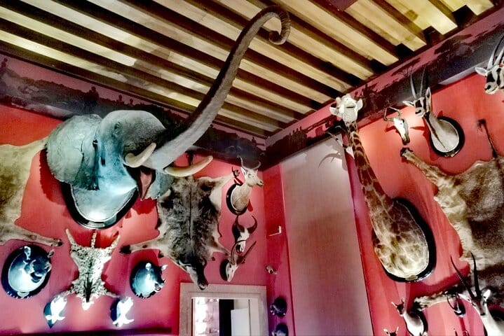 Venice Natural History Museum: Private Tour 2